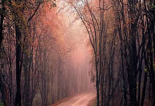 玩加电竞官网:图赫尔:我们在下半场冒了更大的风险,但结果并不尽如人意.