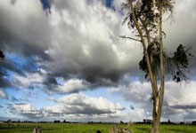 三级欧战座席：英超5队领跑 西甲4队皇马巴萨或会师？.