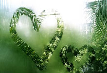 特雷·杨助攻巴洛完成空中接力隔扣库兹马.